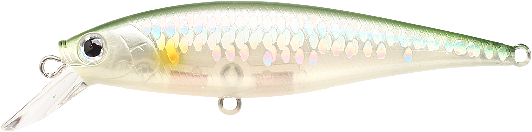 Lucky Craft Pointer 78 SP - 12