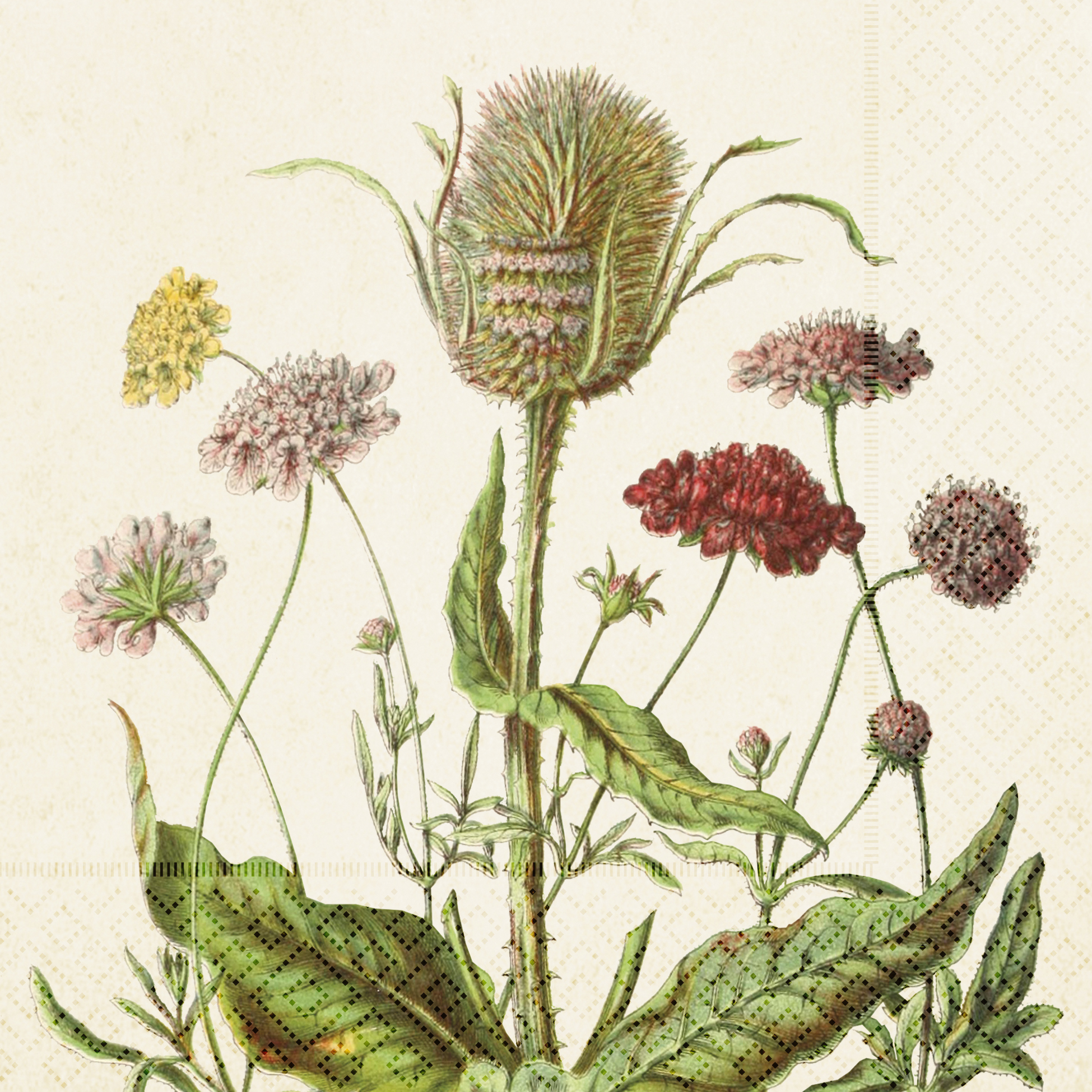 Servetter Blomsteräng
