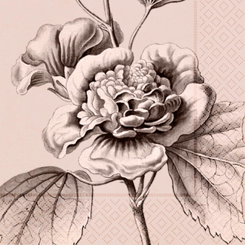 Servetter Botaniska