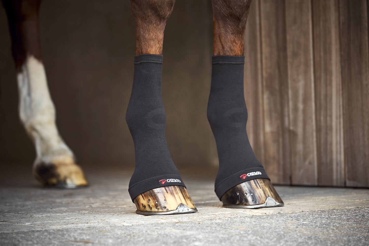 CATAGO FIR-TECH Fetlock Socks Svarta - 2