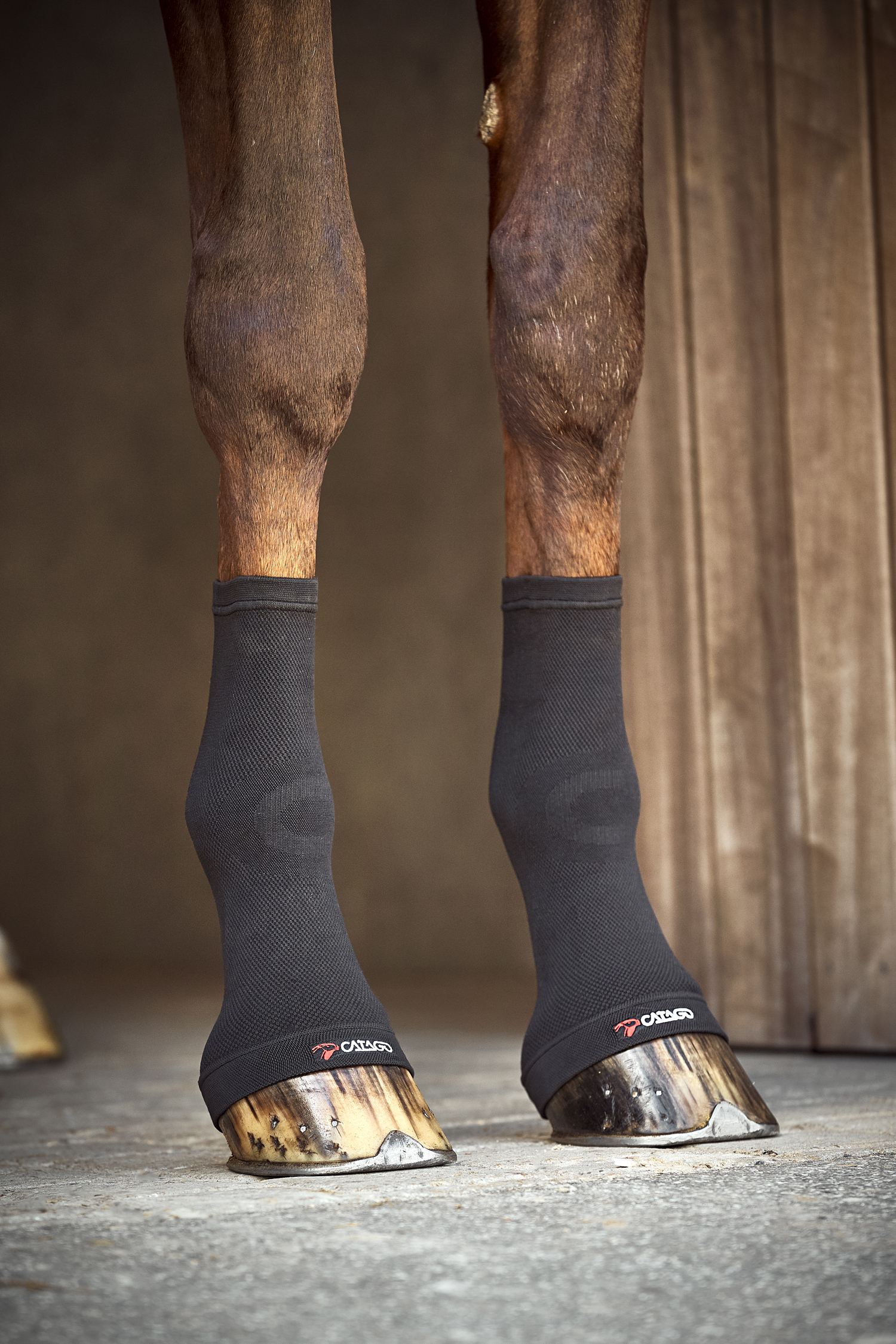 CATAGO FIR-TECH Fetlock Socks Svarta
