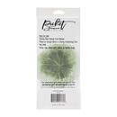 Picket Fence Studios Clear Stamps - Drink Your Greens