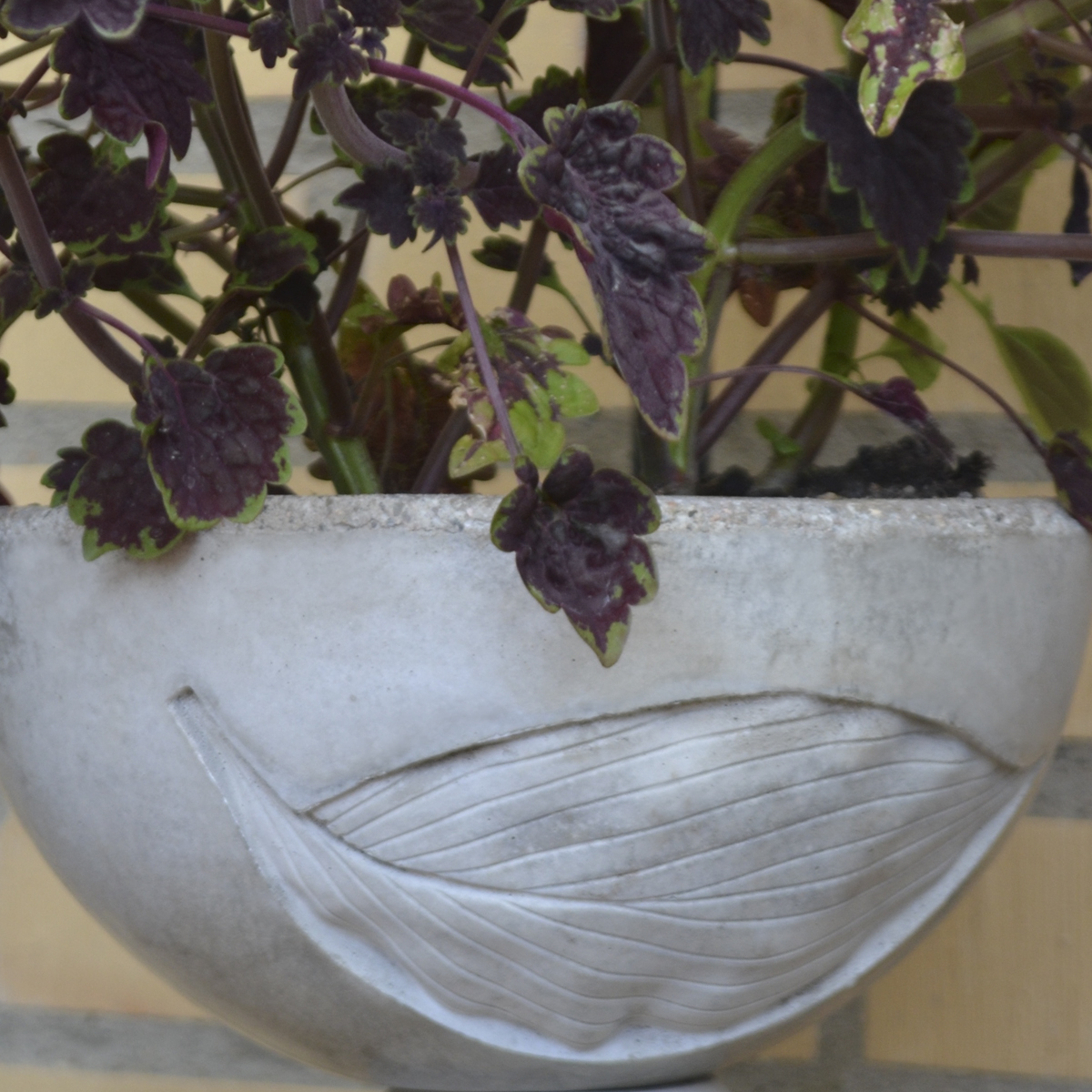 ROUND BOWL with foot - 2