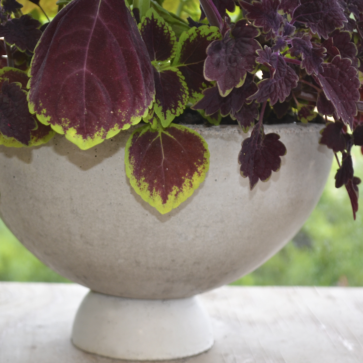 ROUND BOWL with foot - 3