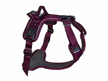 Non-Stop Ramble harness purple