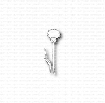 Gummiapan dies - Liten tistel