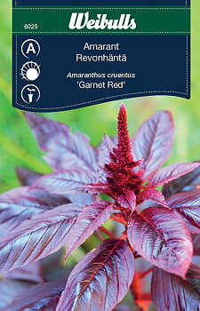 6025 Weibulls Amarant Garnet Red  Amaranthus cruentus