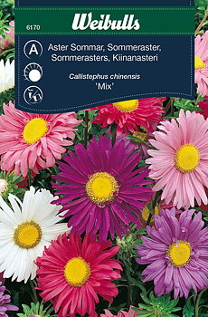 6170, Aster, sommar enkelbl mix Callistephus chinensis