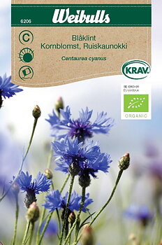 6206, Blåklint KRAV Centaurea cyanus
