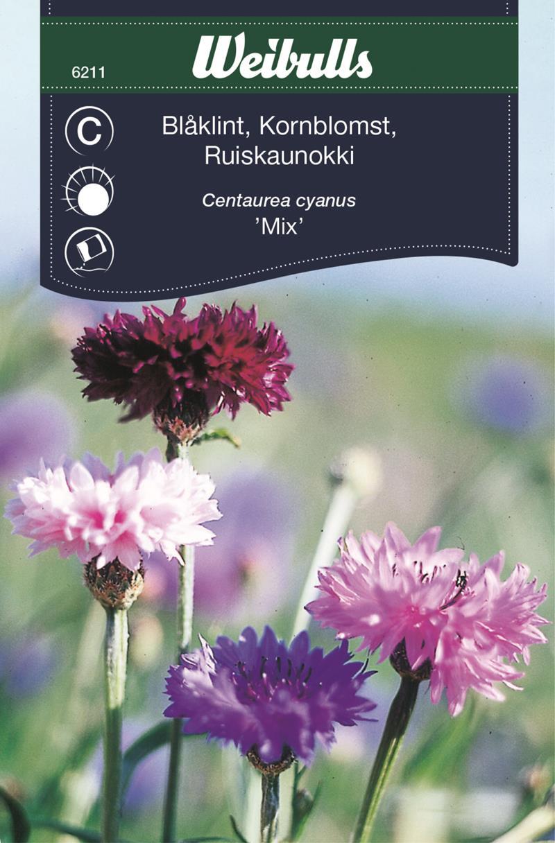 6211 Blåklint mix (blandning) Centaurea cyanus - 3