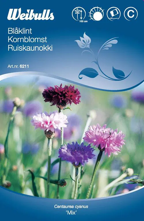 6211 Blåklint mix (blandning) Centaurea cyanus