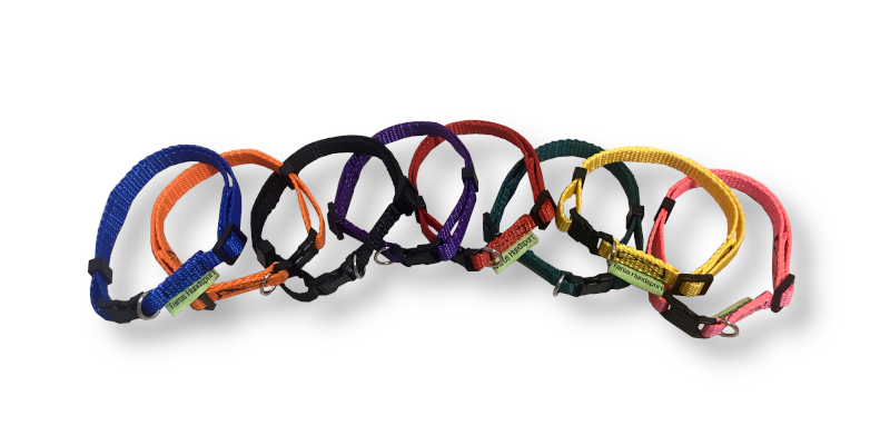 Valpkit halsband