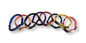 valphalsband reglerbart halsband för små hundar