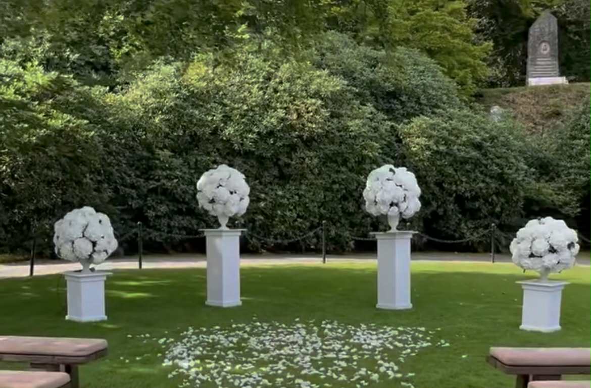 Hortensia boll2021-3 - 2