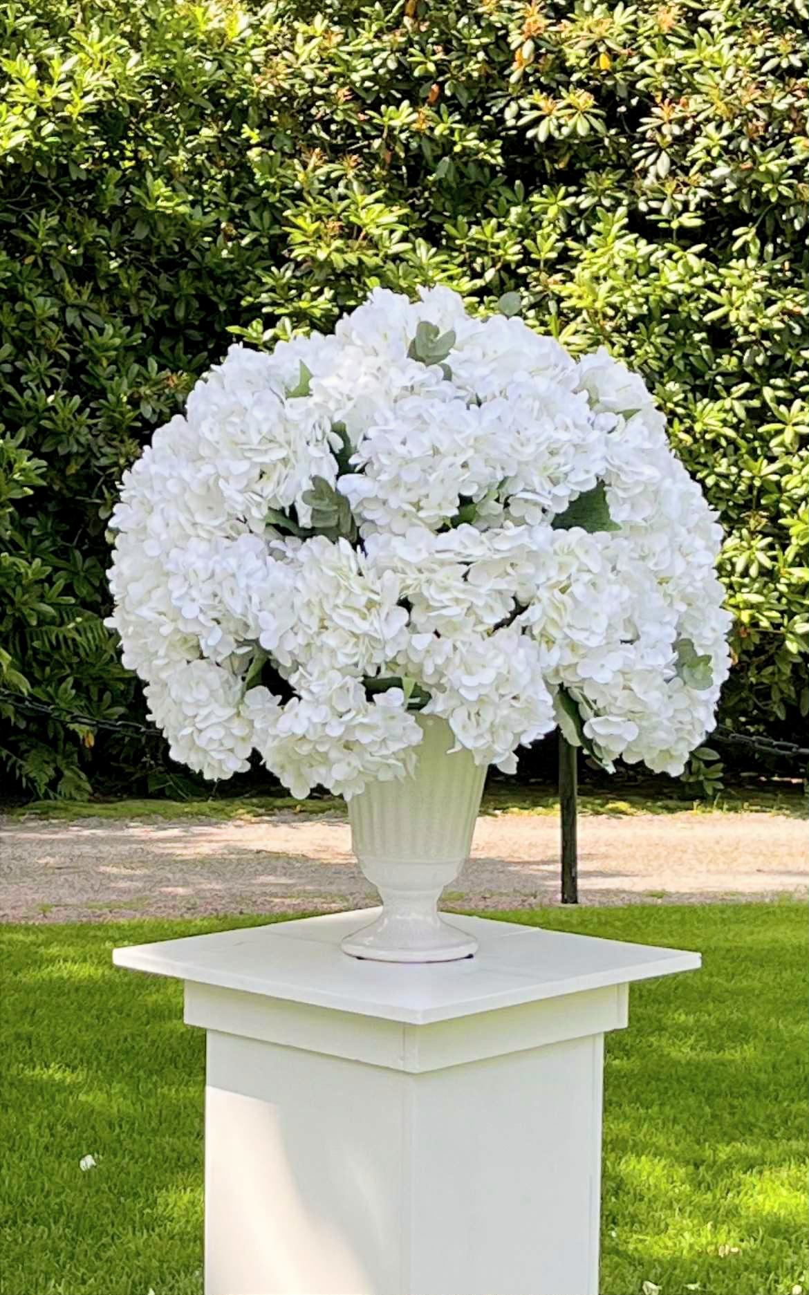Hortensia boll2021-3
