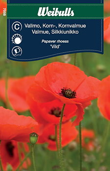 7058, Vallmo, Korn röd vild (rödorange) Papaver rhoeas
