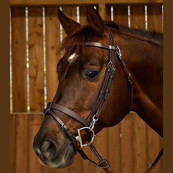 DYON WORKING BRIDLE SLÄT NOSGRIMMA S/S