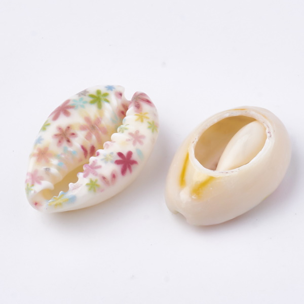 Cowrie snäckor utan hål blommiga