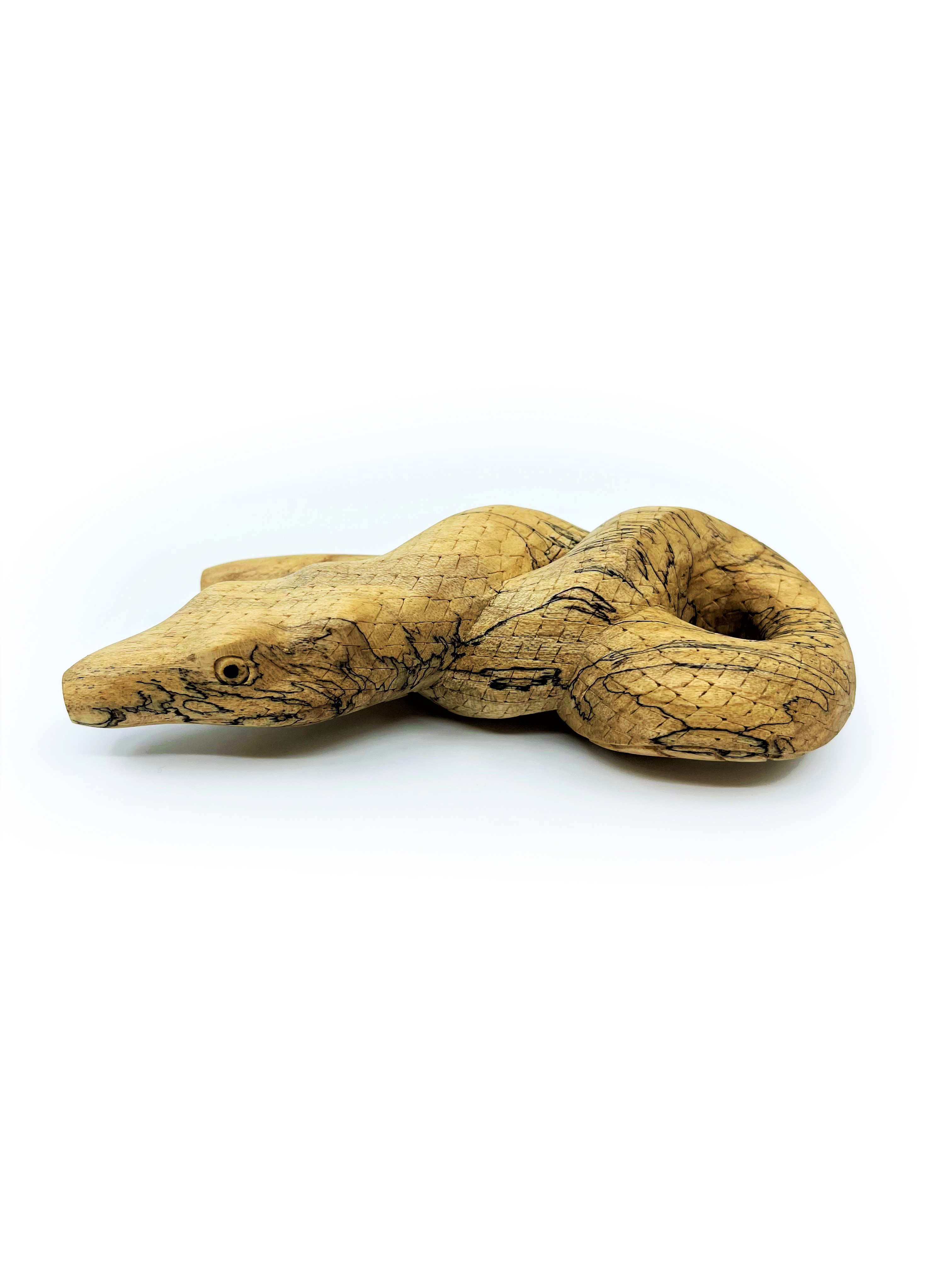 Serpent Kuripe "Lemniscate" - Crocodile Wood - 7