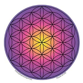Window Sticker Flower Of Life
