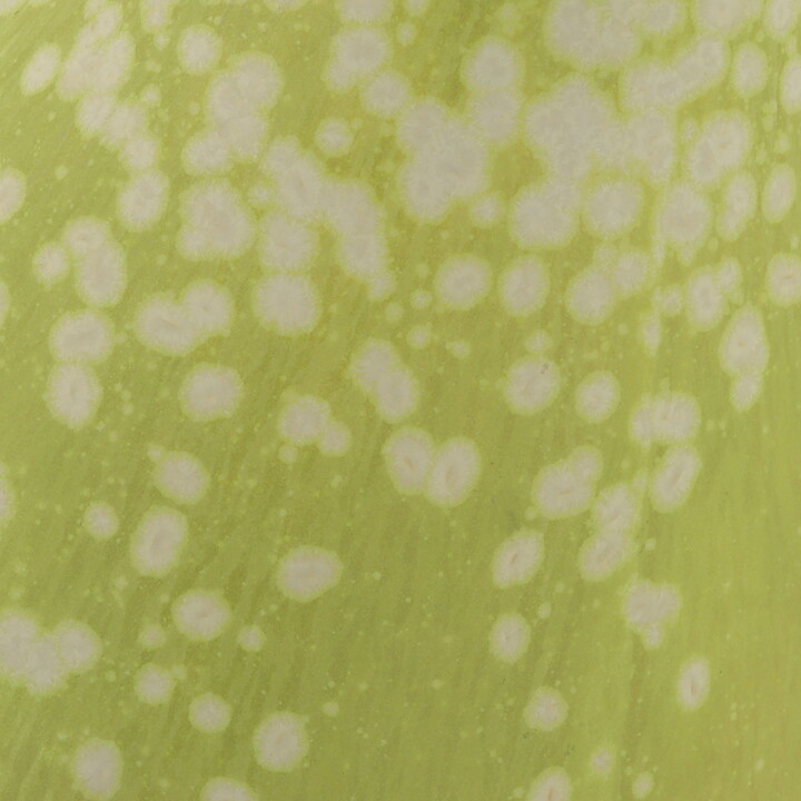 Gunnar Nylund (ARB 1950s) Lime Green Streamlined Vase 26 cm