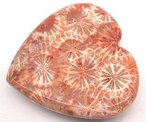 Piedra preciosa de coral natural súper hermosa grande de 71,54 ct - 4