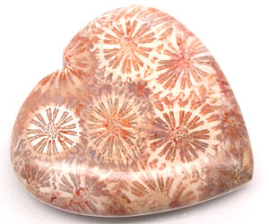 Piedra preciosa de coral natural súper hermosa grande de 71,54 ct - 3