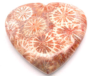 Piedra preciosa de coral natural súper hermosa grande de 71,54 ct - 2