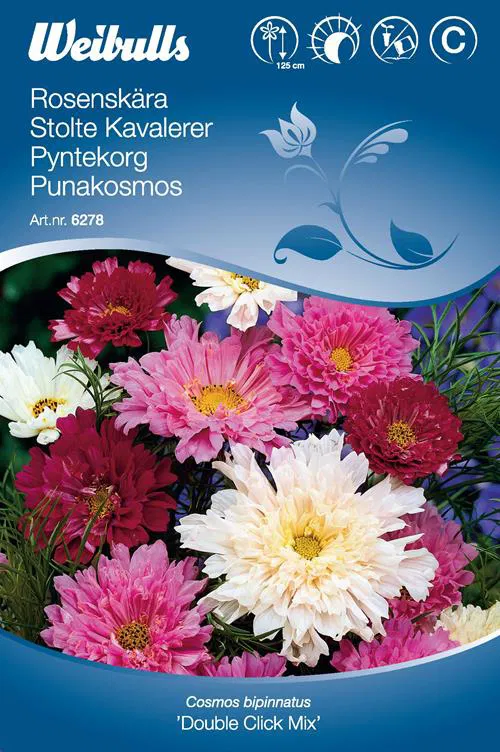 6278, Rosenskära double click Cosmos Bipinnatus