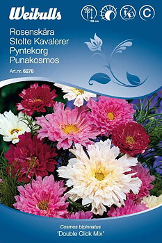 6278, Rosenskära double click Cosmos Bipinnatus