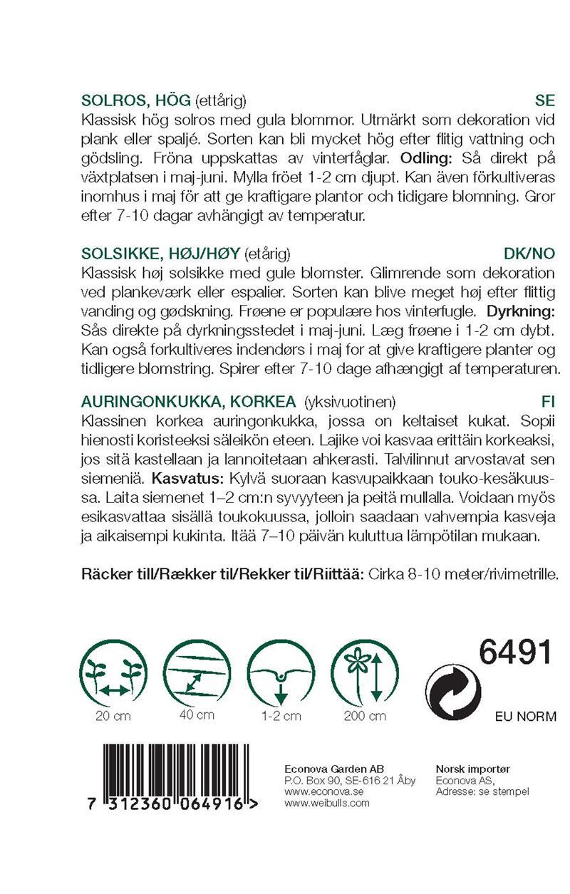 6491, Solros Giganteus KRAV, hög Helianthus annuus - 2