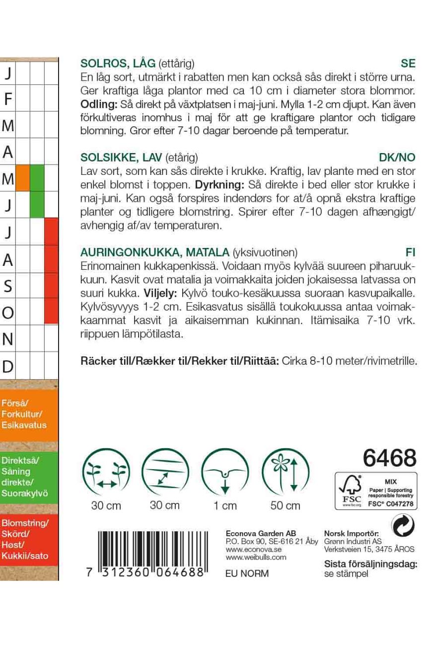 6468, Solros KRAV Spray mix  Helianthus annuus - 2