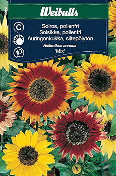 6480, Solros pollenfri mix Helianthus annuus