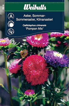 6152, Aster pompon sommar Callistephus chinensis