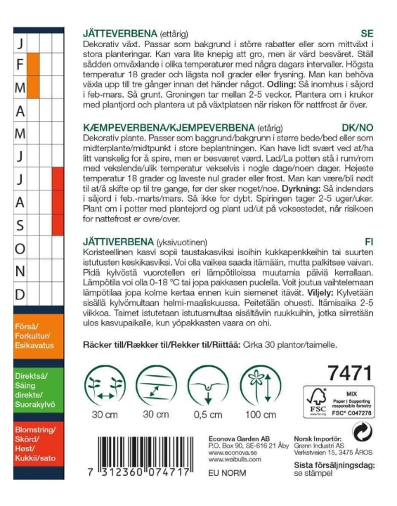 7471 Verbena, jätte-  Verbena bonariensis - 2