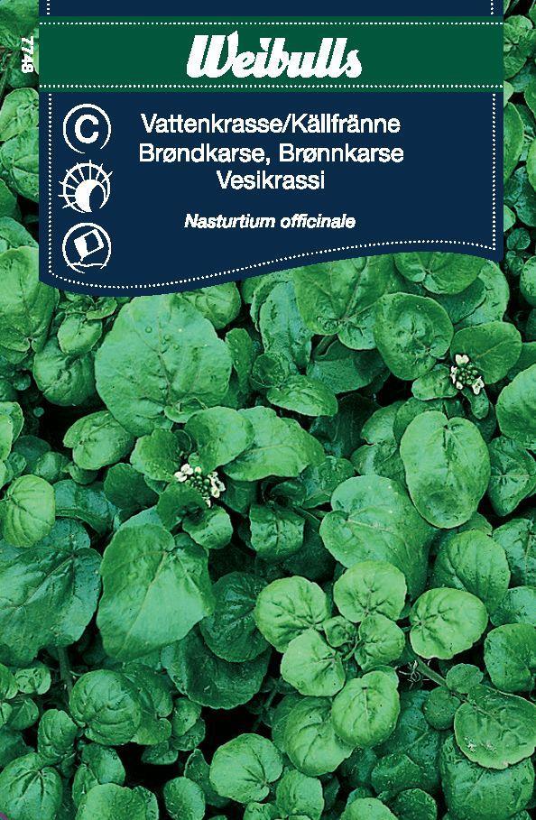 7748 Vattenkrasse/Källfränne  Nasturtium officinale