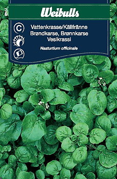 7748 Vattenkrasse/Källfränne  Nasturtium officinale