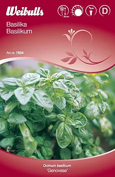 7654, Basilika Genovese  Ocimum basilicum