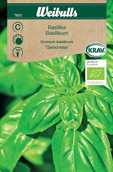 7653 Basilika Genovese KRAV/Ekologisk  Ocimum basilicum