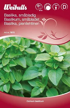 7675 Basilika, småbladig  Ocimum basilicum