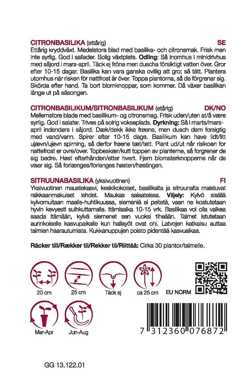 7687 Citronbasilika  Ocimum basilicum citriodorum - 2