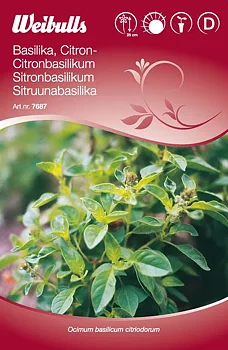7687 Citronbasilika  Ocimum basilicum citriodorum