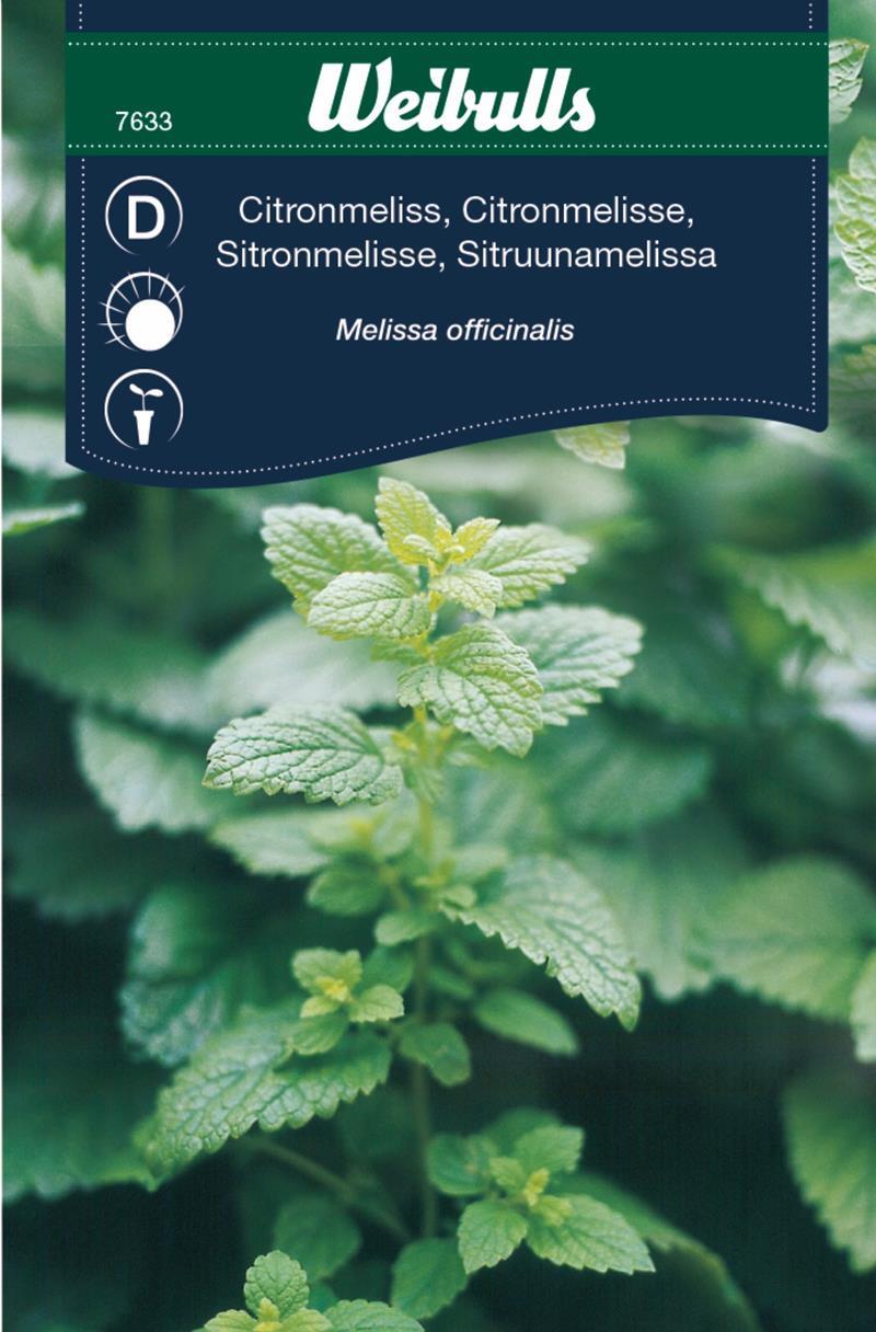 7633 Citronmeliss (grön)  Melissa officinalis - 3