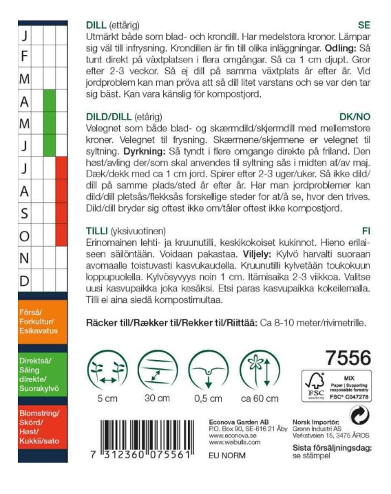 7556 Dill   Anethum graveolens - 2