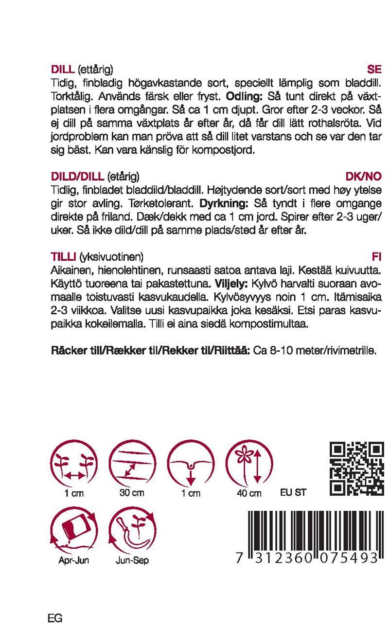 7549, Dill mammut   Anethum graveolens - 2