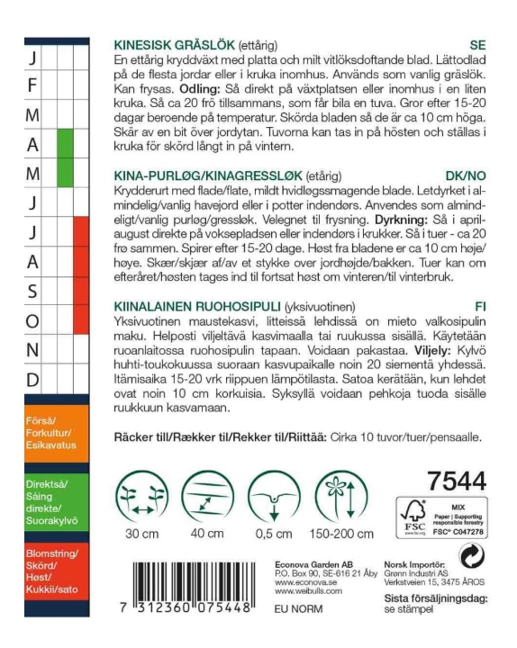 7544 Gräslök, kinesisk  Allium tuberosum - 2