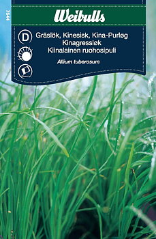 7544 Gräslök, kinesisk  Allium tuberosum