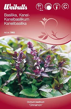 7663 Kanelbasilika   Ocimum basilicum