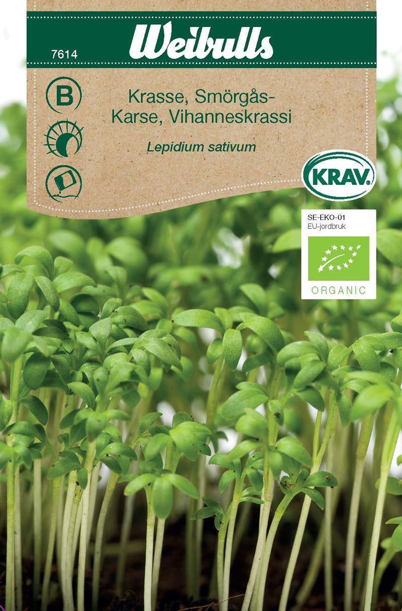 7614 Krasse, smörgås   Lepidium sativum