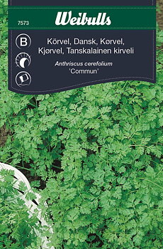 7573 Körvel, dansk   Anthriscus cerefolium